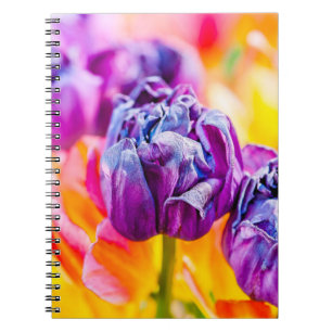 Carnet Tulipes Enchanter 14