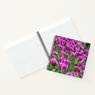 Carnet Tulipes pourpres