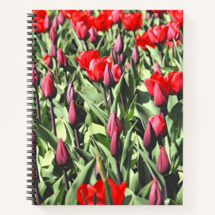 Carnet Tulipes rouges