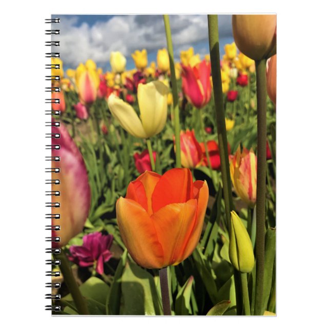 Carnet Tulips du Colorful (Devant)