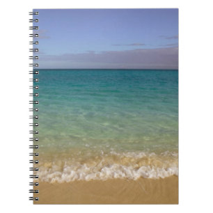 Carnet Turks et Caïcos, île de Providenciales, Grace 2