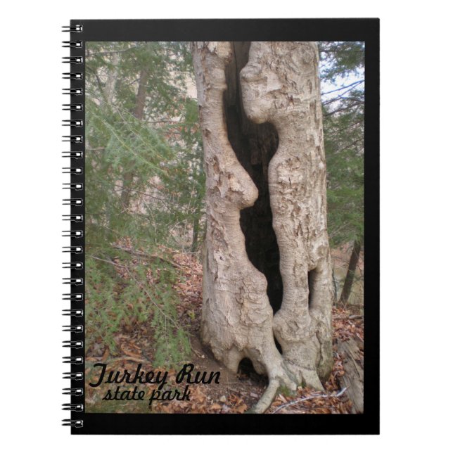 Carnet Turquie Run State Park, Hallow Tree (Devant)