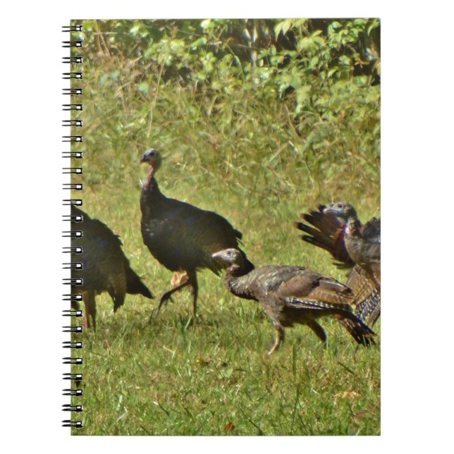 Carnet Turquie sauvage, couleurs du Camouflage (Devant)