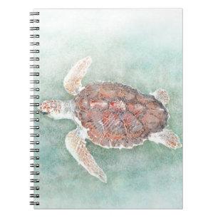 Carnet turtle 2