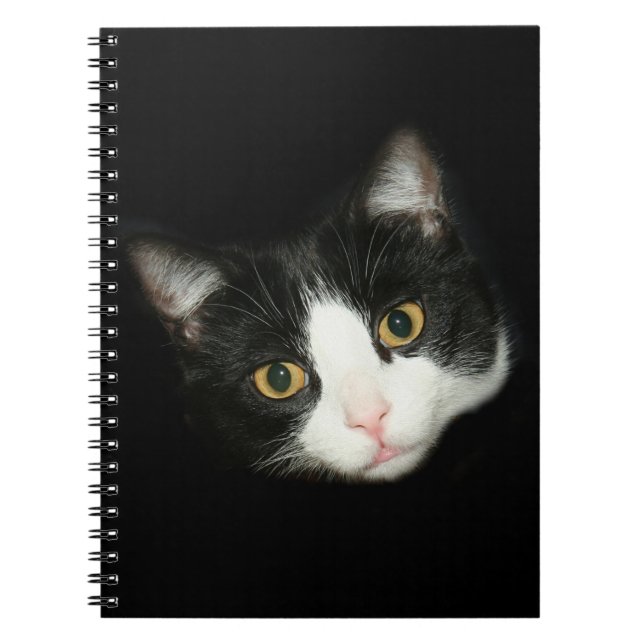 Carnet Tuxedo (Devant)