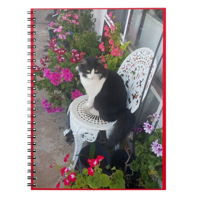 Carnet Tuxedo Chat Cute Jolie Fleurs Chats Carte d'Annive (Devant)