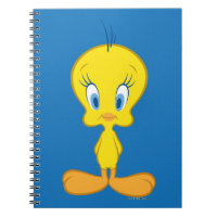 TWEETY | Innocent Little Bird