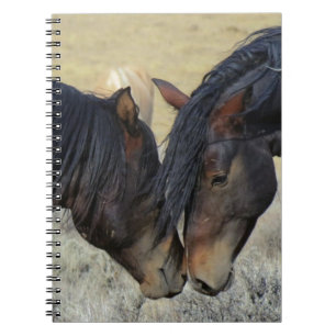 Carnet Two Brown Wild Horses Nuzzling