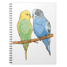 Two cute bleu et green Budgies