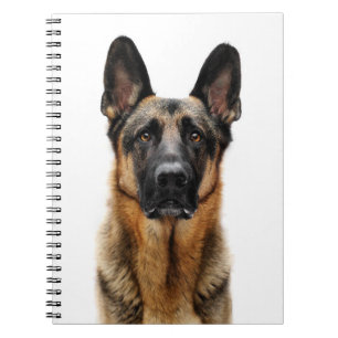 Carnet Un berger allemand assis
