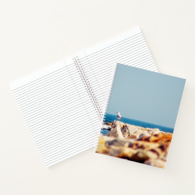 Carnet Un billet de Gull (Intérieur)