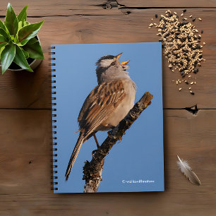 Carnet Un Bruant à tête blanche chante au soleil
