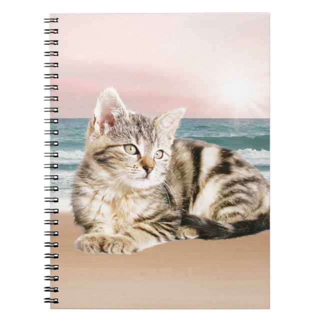 Carnet Un chat à rayures plus mignon assis sur la plage a (Devant)