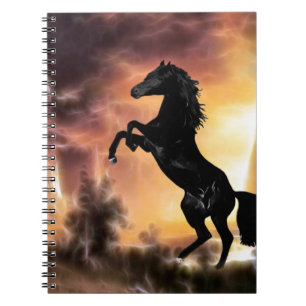 Carnet Un cheval de Stallion friésien