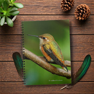 Carnet Un colibri roux étonnant sur des vignes jumelées