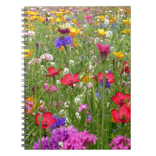 Carnet Un Domaine De Design Naturel Fleur sauvage Coloré