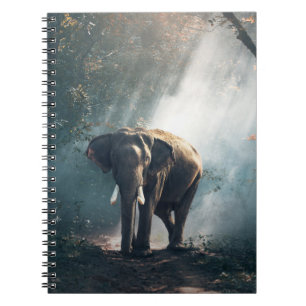 Carnet Un éléphant asiatique dans un défrichement éclairé