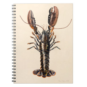Carnet Un homard de Solva