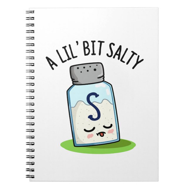 Carnet Un Petit Peu Salé Drôle Sel Shaker Pun (Devant)
