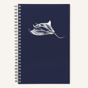 Carnet Un rayon parmi les étoiles
