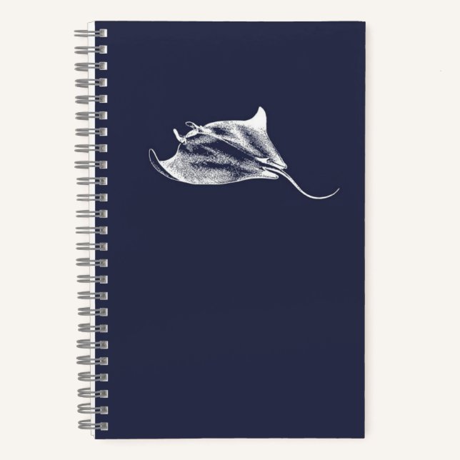 Carnet Un rayon parmi les étoiles (Recto)