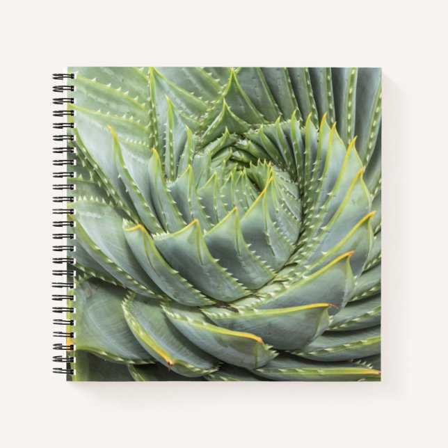 Carnet Un succès vert et blanc (Devant)