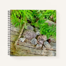 Une belle revue avec la nature et affirmant le dés