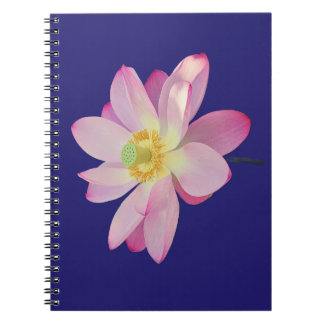 Carnet Une fleur de lotus vibrante