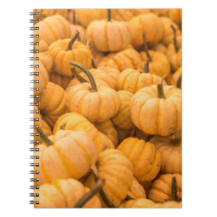 Carnet Une grande quantité de Citrouilles