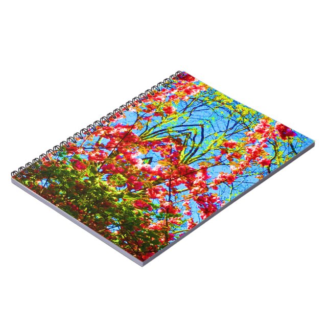 Carnet Une lumière différente (Côté gauche)
