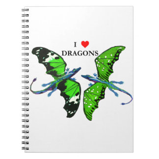 Carnet Une paire de dragons