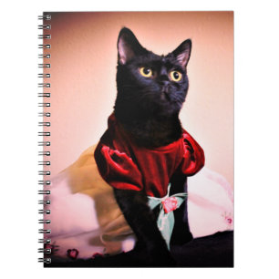 Carnet Une petite princesse
