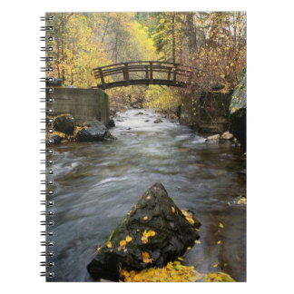 Carnet Une rivière fonctionnant par le canyon américain