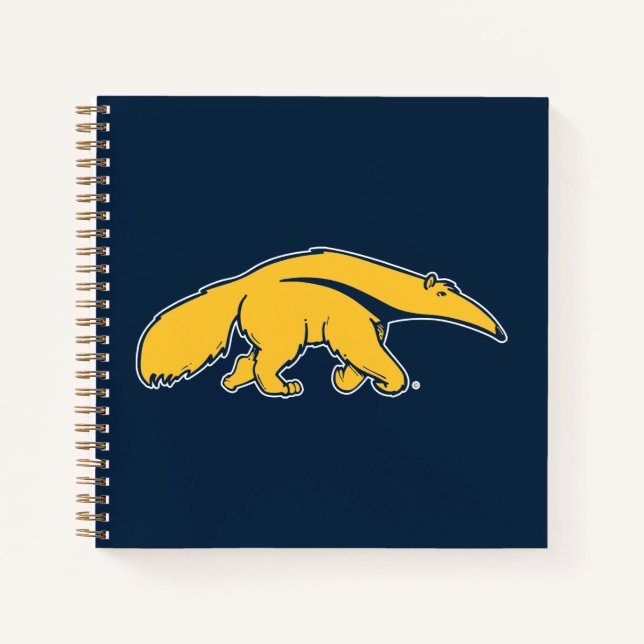 Carnet Université de Californie, Irvine Anteater (Devant)