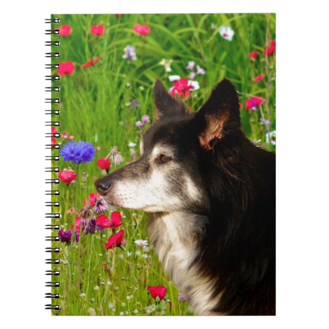 Carnet Valentine Frontière Collie avec de belles fleurs (Devant)
