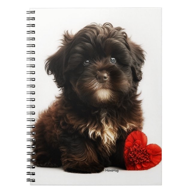 Carnet Valentine la plus fine, Chiot Havanais au chocolat (Devant)