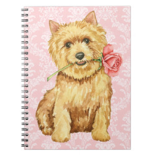 Carnet Valentine Norwich Terrier rose