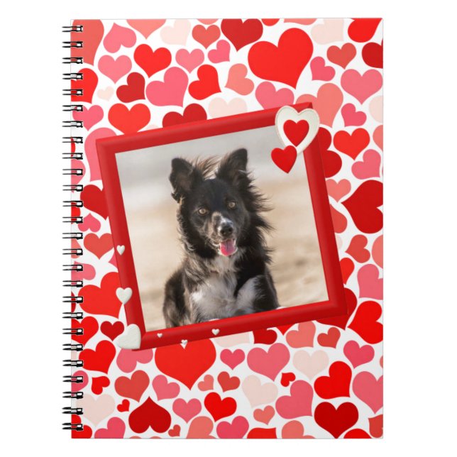Carnet Valentines Frontière Collie Coeurs de chien (Devant)