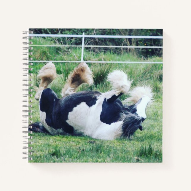 Carnet Vannière tzigane roulant dans l'herbe (Devant)