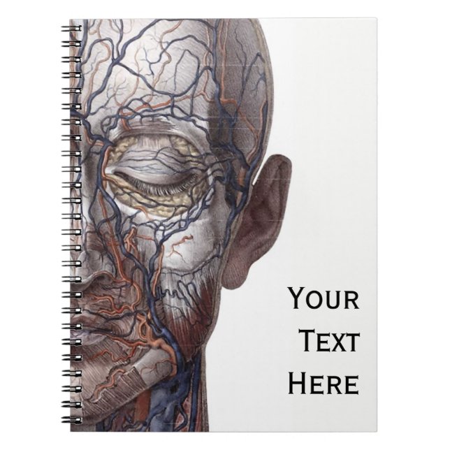 Carnet Veines et muscles principaux (Devant)