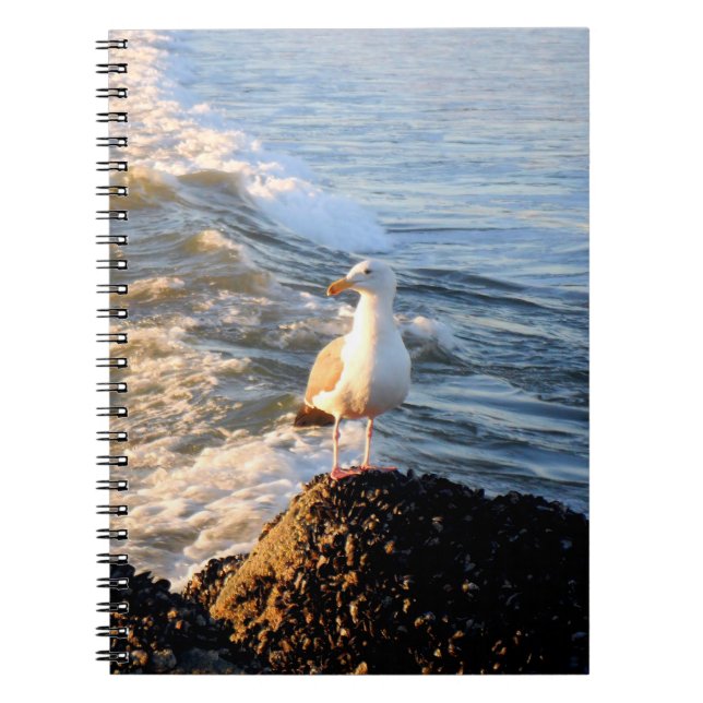 Carnet Venice Beach Seagull (Devant)