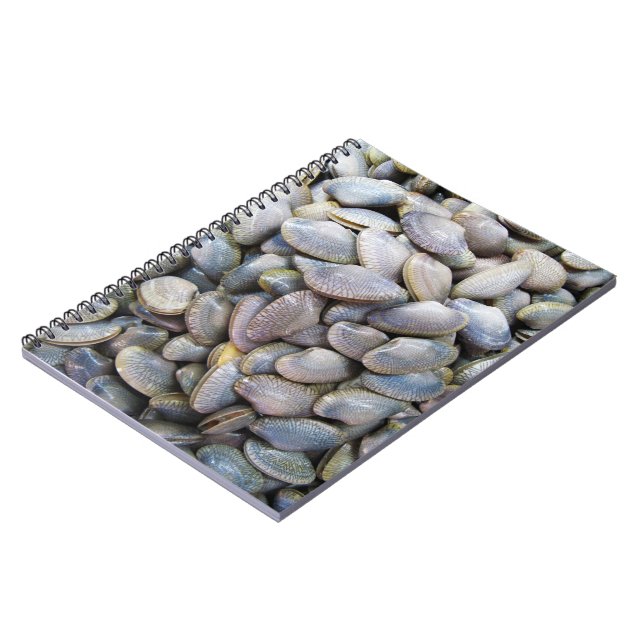 Carnet Venus Clam [ห อ ย ล า ย] (Côté gauche)