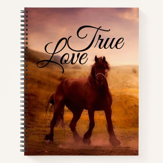 Carnet Véritable Cheval d'Amour (Devant)