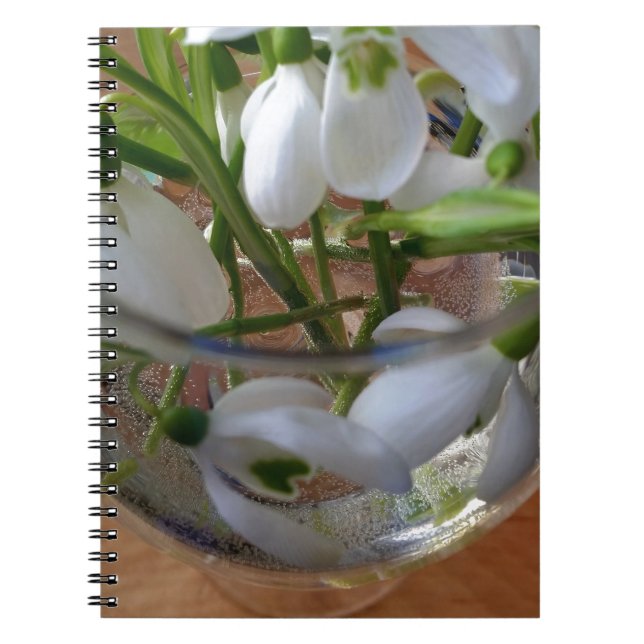 Carnet verre de drops (Devant)