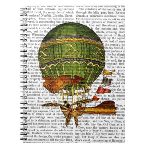 Carnet Vert chaud de ballon à air