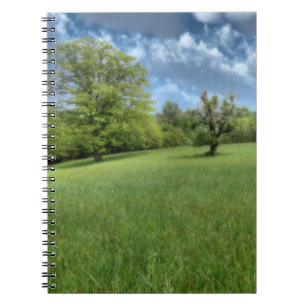 Carnet vert des Appalaches