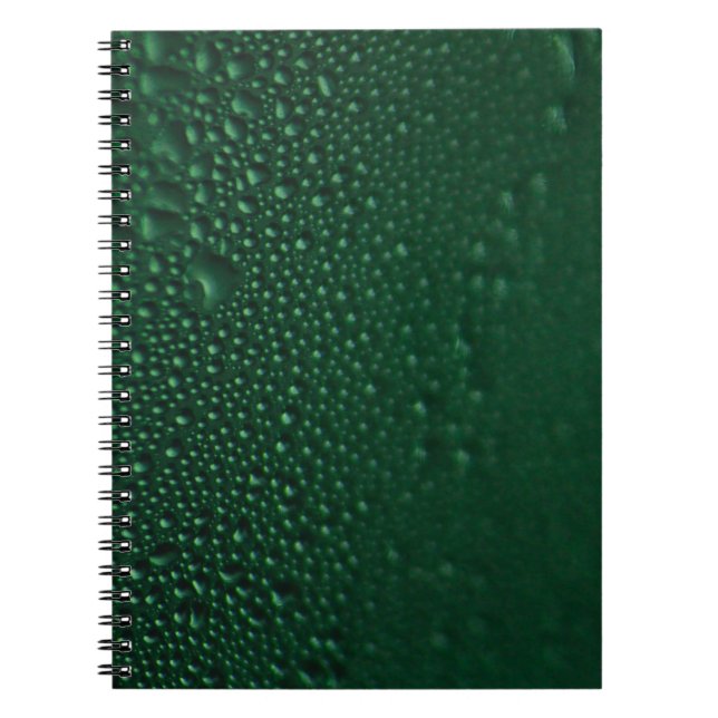 Carnet Vert humide (Devant)