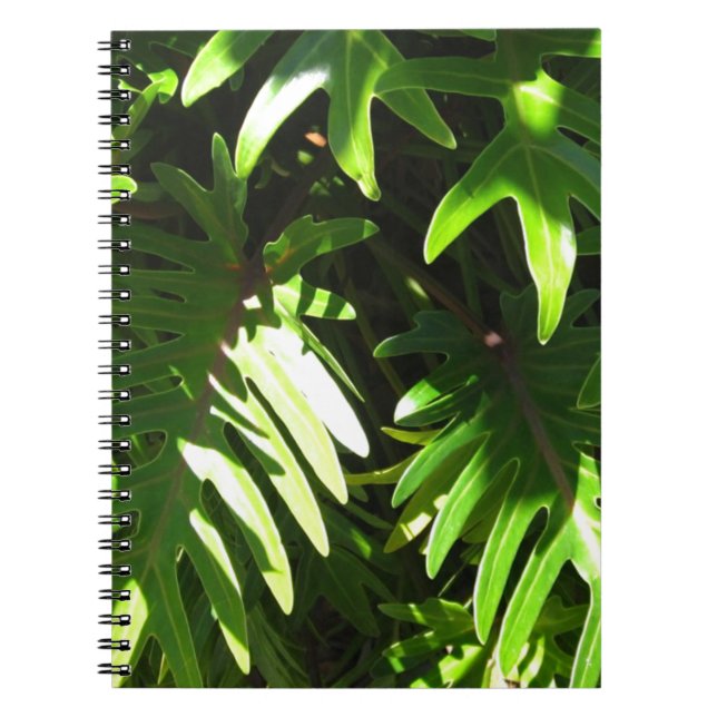 Carnet Vert tropical (Devant)