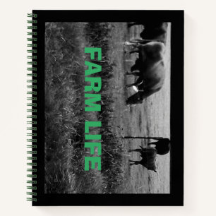 Carnet Vie agricole, famille de vaches