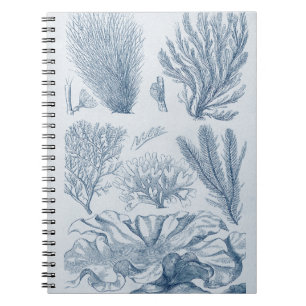 Carnet Vie marine nautique